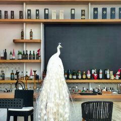 SKY LOUNGE海景音乐餐吧(极地金岸店) User Photo