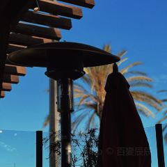 Lazy Dog Restaurant & Bar User Photo
