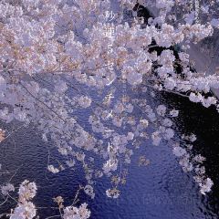 Kandagawa User Photo