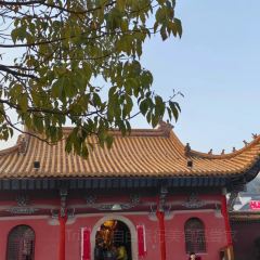 九莲土菜馆 User Photo