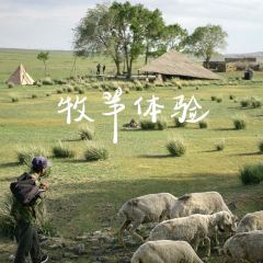 安之与羊 User Photo