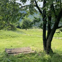 羊圈餐厅 User Photo