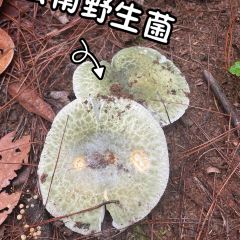 糊辣鸡饭庄 User Photo