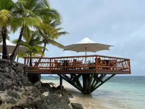Zip Fiji Momi
