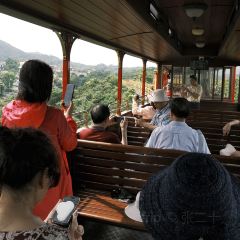 蜜悦·秘野仙踪半山森林餐厅 User Photo