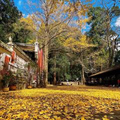 好家苑 User Photo