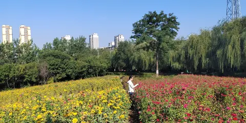 首山公園