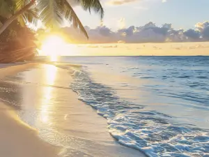 Bimini Islands