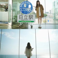 Sea Birds Cafe User Photo