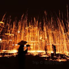 炎黃茶館張用戶圖片