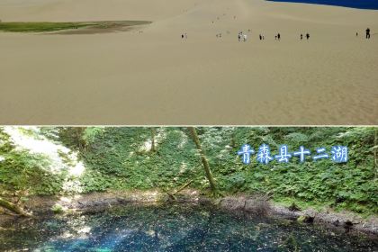 Maidreamin Akihabara Head Store