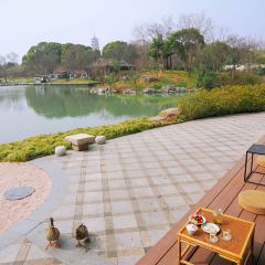 隐居茶苑 User Photo