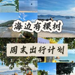 海边有棵树 여행 사진
