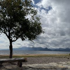 合院餐厅地主家 User Photo
