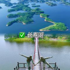 LAO CHENG SAN DAO GUAI DA DA MIAN User Photo