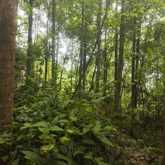 山涧别院 User Photo