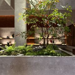 Shan Hai Nan Yan User Photo