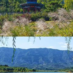 老刘蒸饺·清真餐厅 User Photo