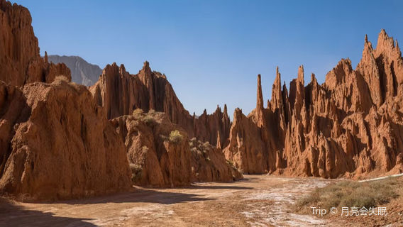 Hongshan Stone Forest