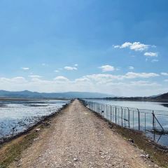 傣景园景颇族绿叶手抓饭 여행 사진