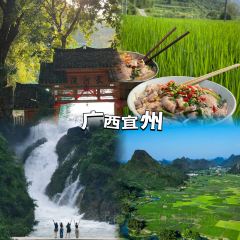 一品鲜鱼锅贴(人民一路店) User Photo