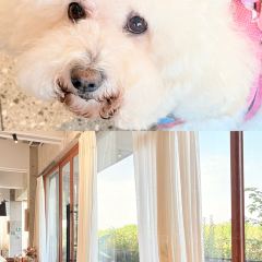 云孚里云宿.西湖云岛·餐厅 User Photo