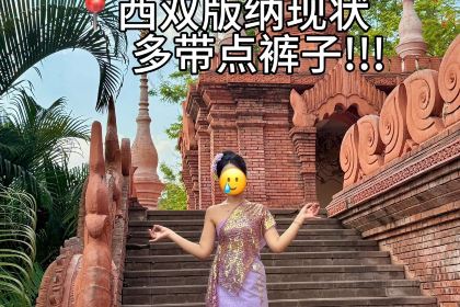 缅花小吃(白象湖店)