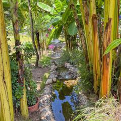 山里·落日小院·亲子营地·烤肉(云篆山店) 여행 사진