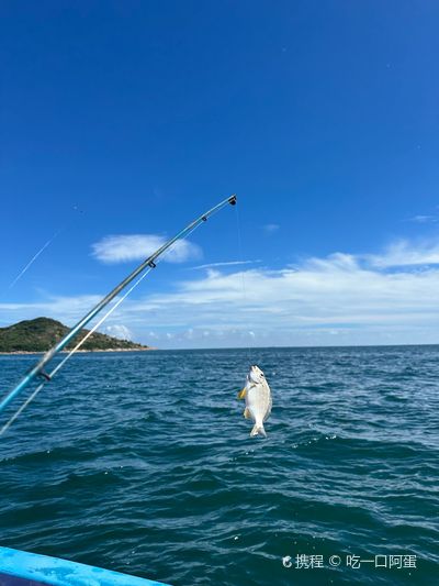 Sea Fishing in Fangchenggang