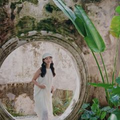 ZHENQIANJIE FERMENTED BEAN CURD CHICKEN WINGS User Photo