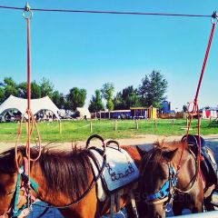 Happy Lamb Hot Pot User Photo