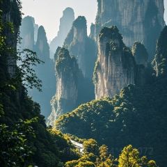 十里香粉馆(虹桥中路店) User Photo