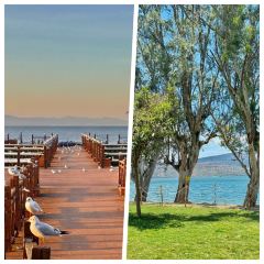 AI SHANG JUN User Photo