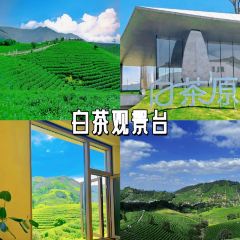 老太婆干挑面(苕溪路店) User Photo