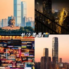 豆夫酥酥臭名远扬臭豆腐(总店) User Photo