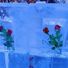 Hot pot of Tibetan User Photo