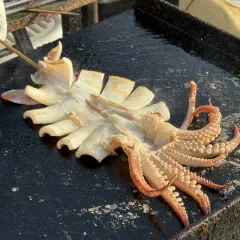 RI YUE SHENG YU JIA CAI User Photo