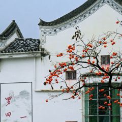 Sage Hall Homestay User Photo