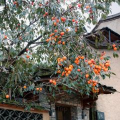 拾光餐集(东壁村店) User Photo