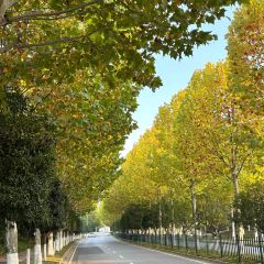 田小狗的饭店(碧桂园店) User Photo