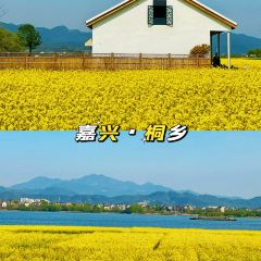 YU YAN LOU User Photo