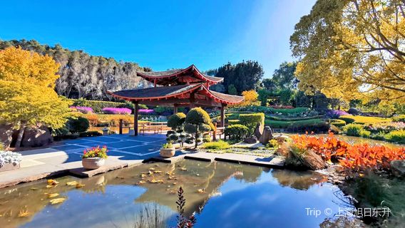 Hunter Valley Gardens