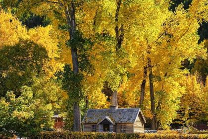 Arrowtown Bakery & Cafe