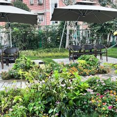 捌佰裡皖江別院張用戶圖片