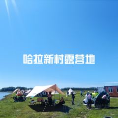 赵兴家大片肉 User Photo