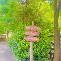 从前农庄 User Photo