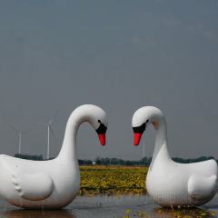 杨五龙虾(兰亭熙园店) 여행 사진