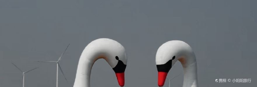 杨五龙虾(兰亭熙园店)