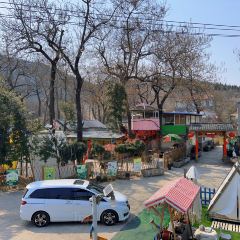 东篱山庄 User Photo