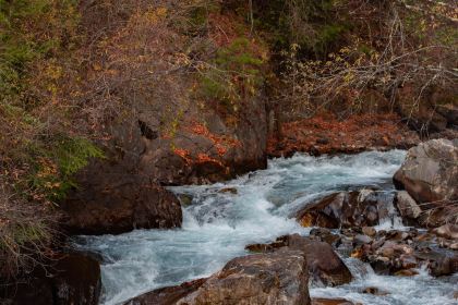 绵虒老陈记豆腐庄